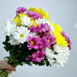 Букет из ярких ирисов - магазин цветов «Бизнес Флора» в Омске
